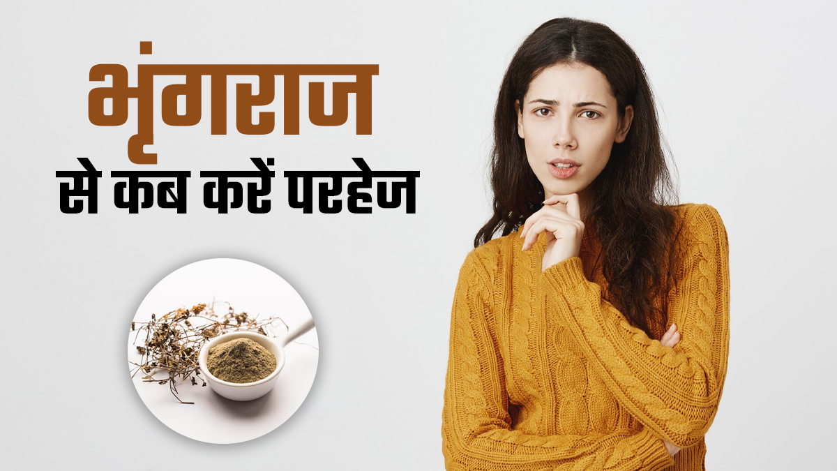 भृंगराज का सेवन कब नुकसान कर सकता है? एक्सपर्ट से जानें