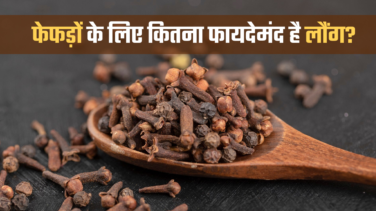 क्या लौंग फेफड़ों को डिटॉक्स करता है? बढ़ते एयर पॉल्युशन के बीच आयुर्वेदिक एक्सपर्ट से जानें सच्चाई
