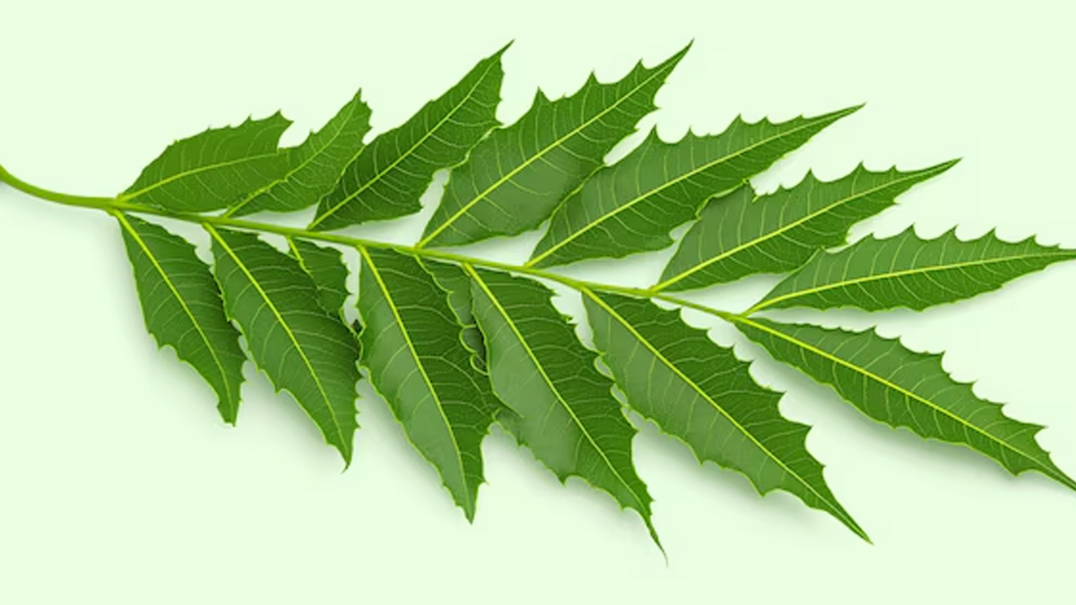 1 - 2025-12-22T121035.701