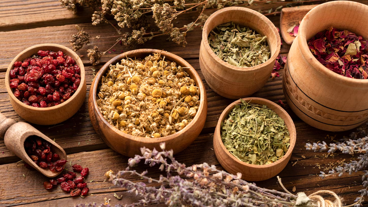 1 - 2025-12-23T165544.783