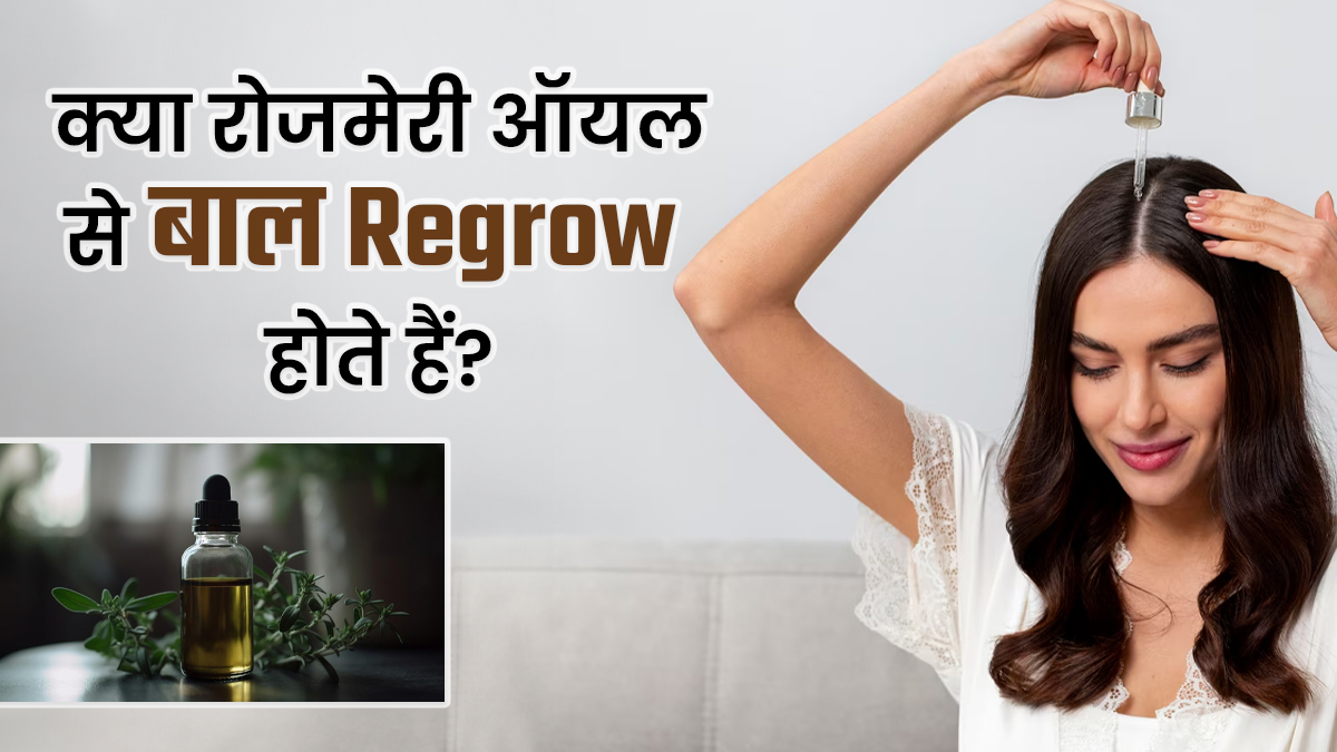 लंबी-घनी और मजबूत चोटी चाहिए तो बालों पर रेगुलर लगाएं रोजमेरी ऑयल, सिर्फ 5 बूंद है काफी