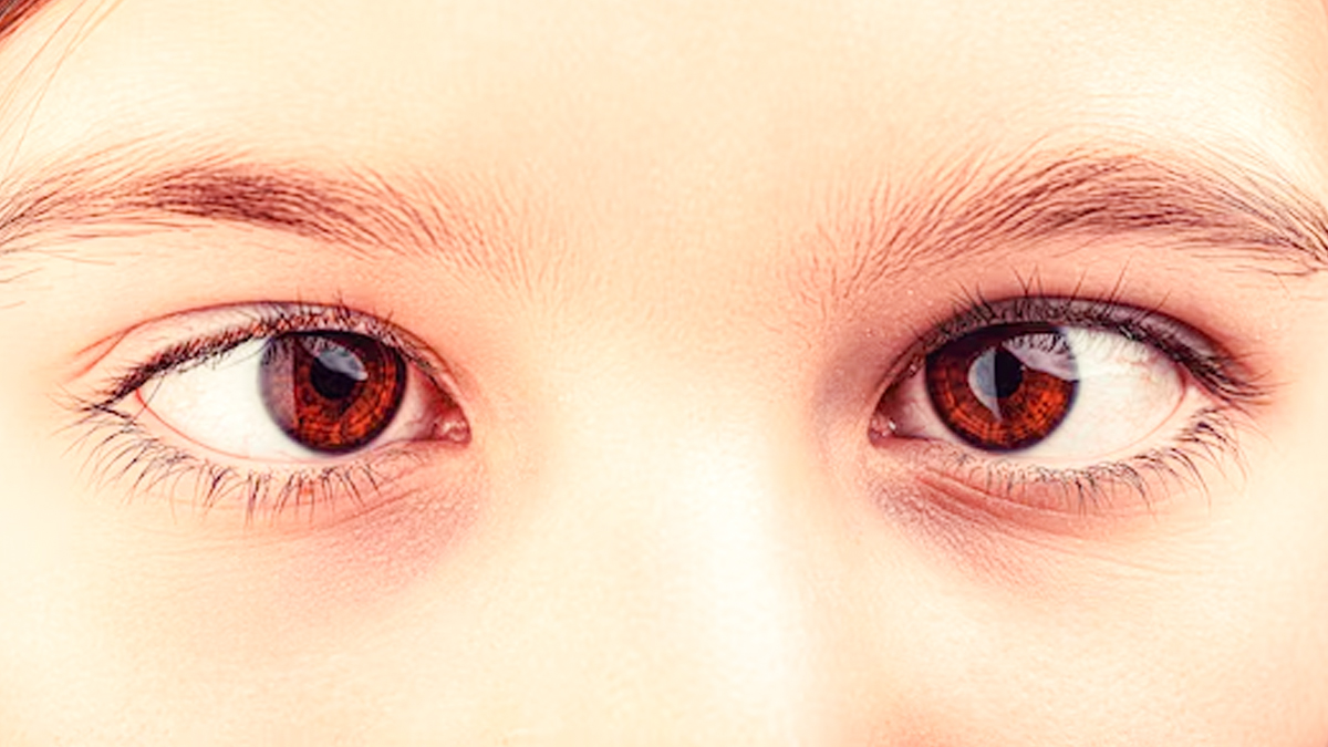 1 - 2025-12-24T092655.876