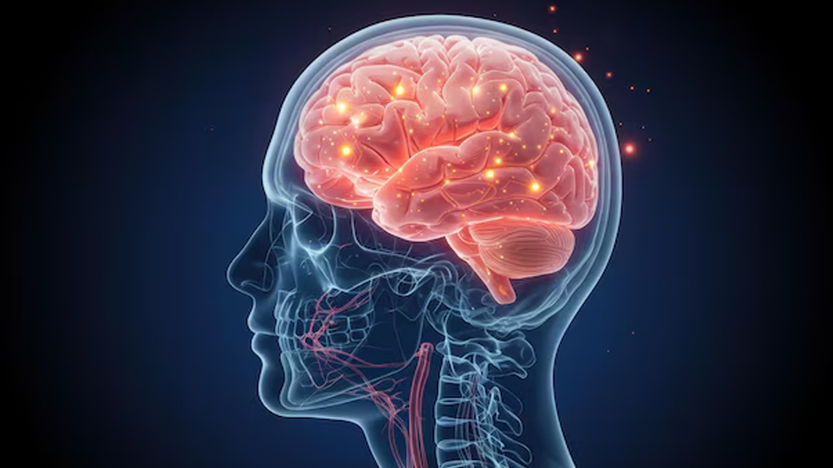 what causes low oxygen supply to the brain in hindi  01 (5)