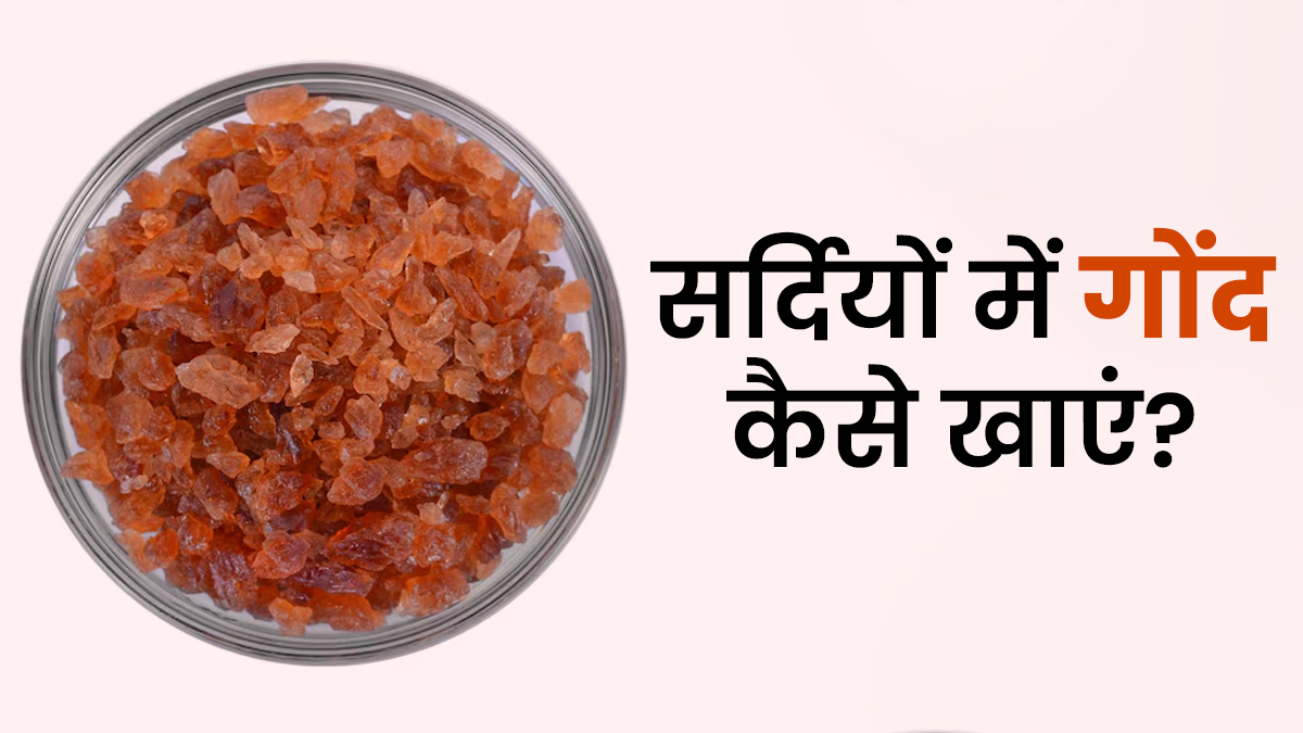 शरीर को गर्म रखने के लिए सर्दियों में गोंद का सेवन कैसे करें? डॉक्टर से जानें