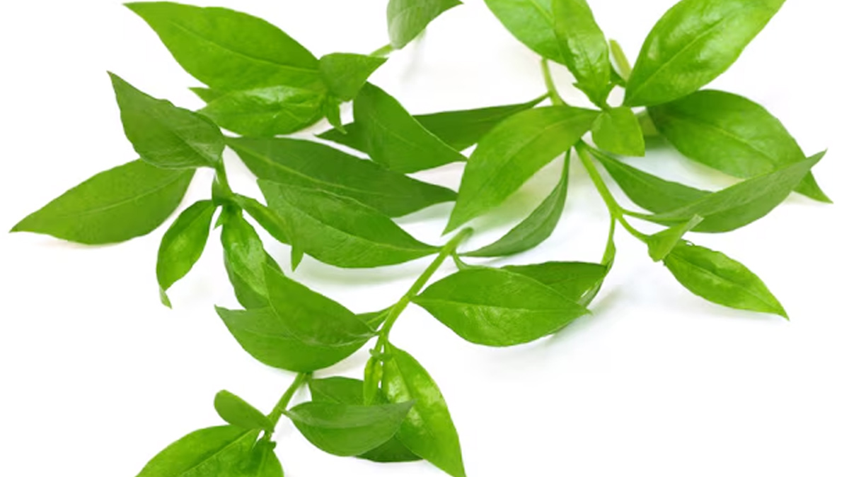 1 - 2025-12-25T193227.725