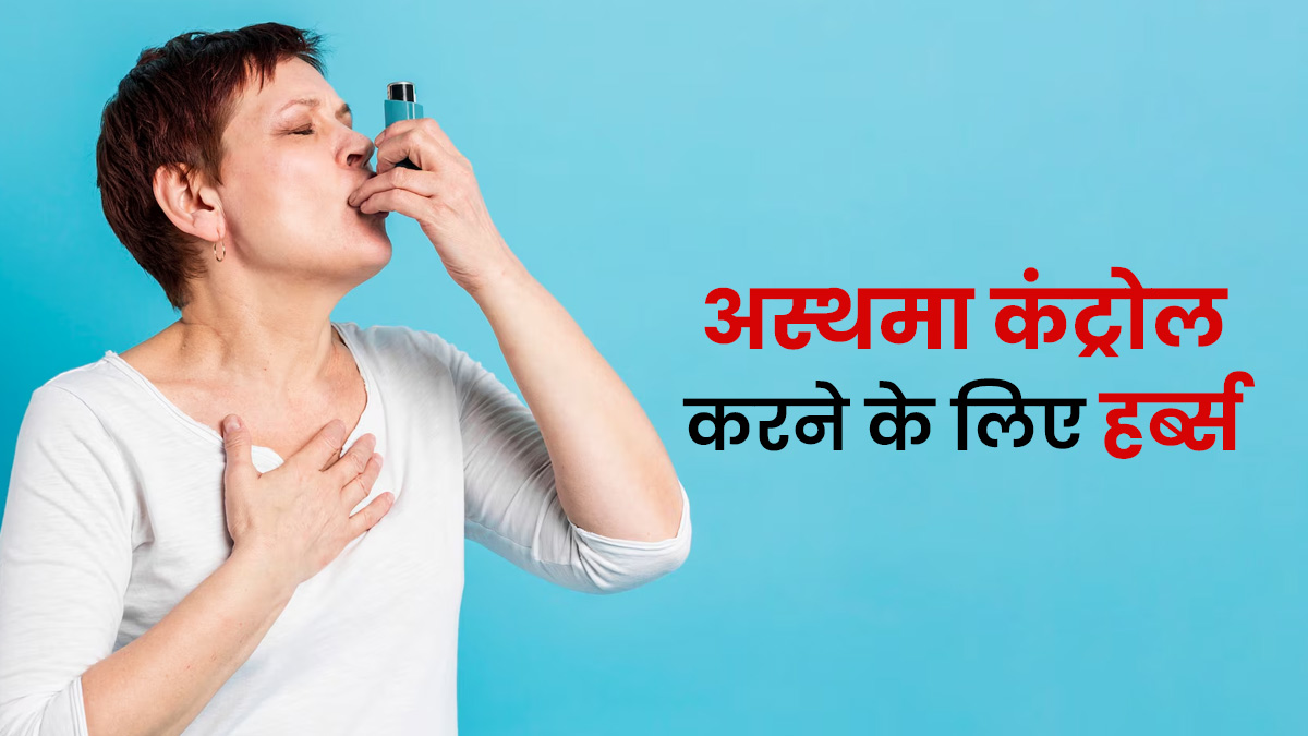 अस्थमा को ट्रिगर कर रही है बढ़ती ठंड और प्रदूषण? इन हर्ब्स के सेवन से कंट्रोल होंगे लक्षण