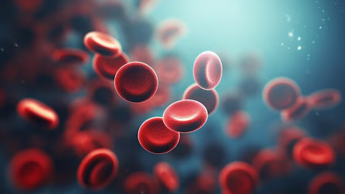 can garlic clean your blood 01 (10)