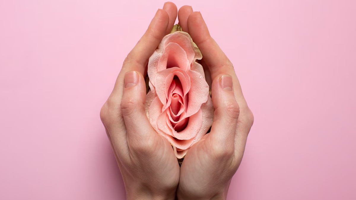 1 - 2025-12-31T084711.536