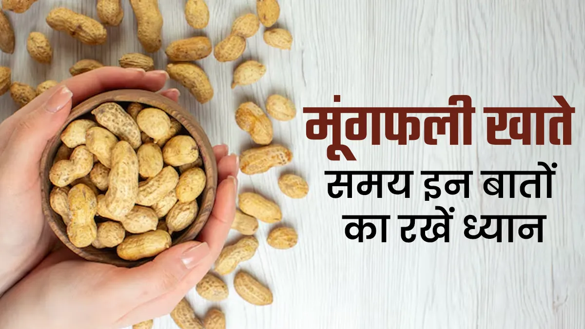 सर्दियों में मूंगफली खाना है पसंद? लेकिन इन बातों का रखें ध्यान हो सकती हैं परेशानियां