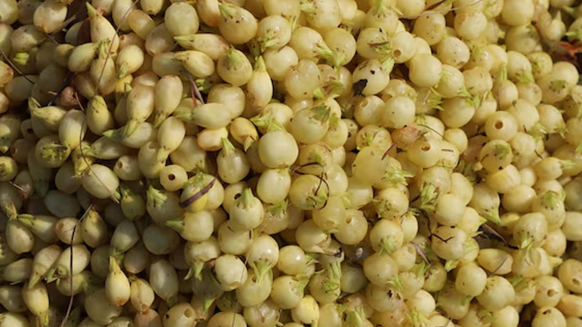 fati-ediyo-par-kya-lagaye-inside