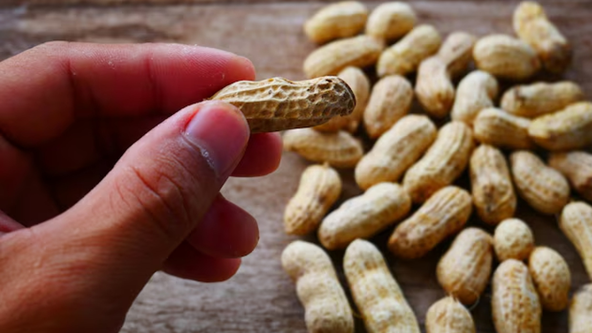 what to keep in mind when eating peanuts in winter in hindi 01 (5)