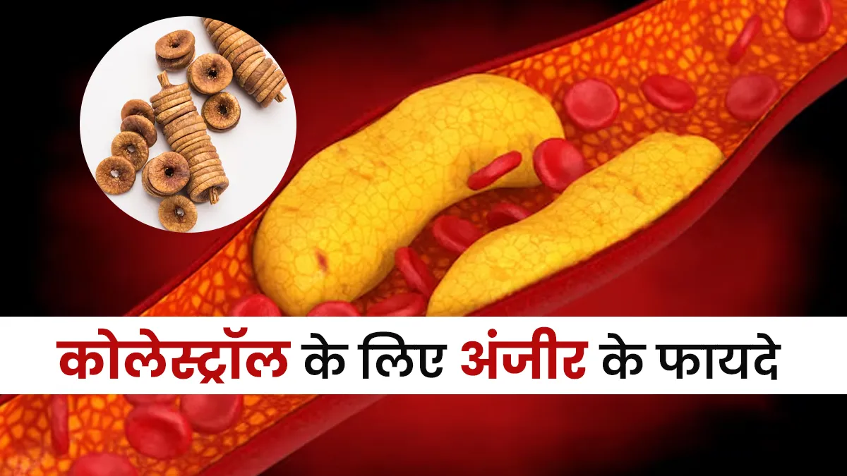 कोलेस्ट्रॉल की समस्या में फायदेमंद है अंजीर, जानें सेवन का तरीका