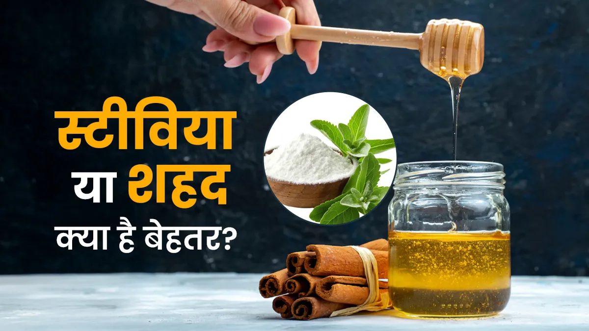 स्टीविया और शहद: स्वास्थ्य के लिए कौन सा मीठा बेहतर है?