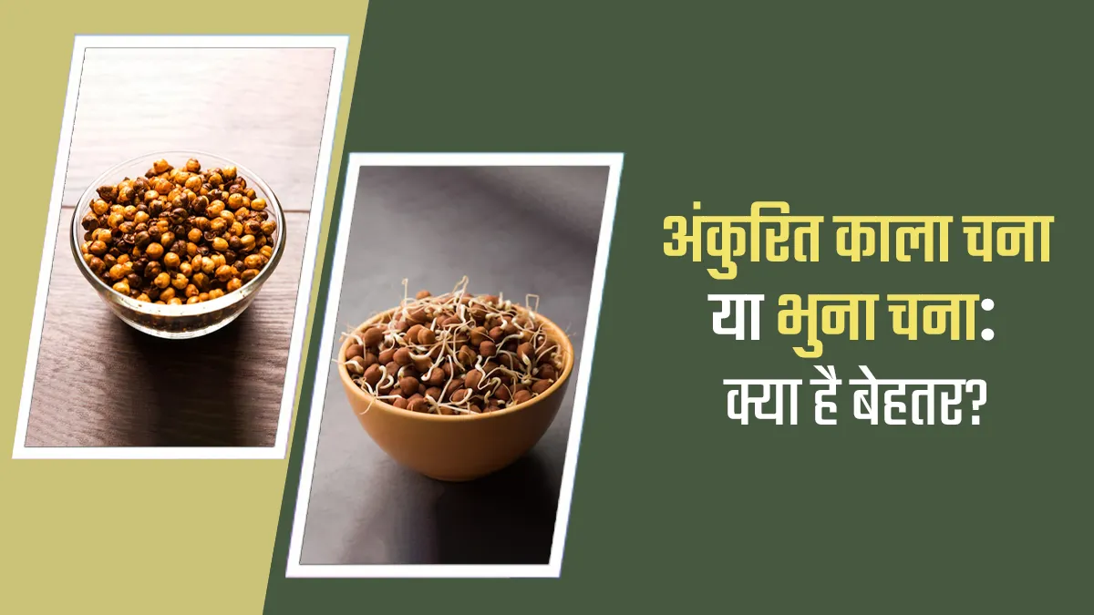 अंकुरित काला चना या भुना चना? एक्सपर्ट से जानें सेहत के लिए क्या है
