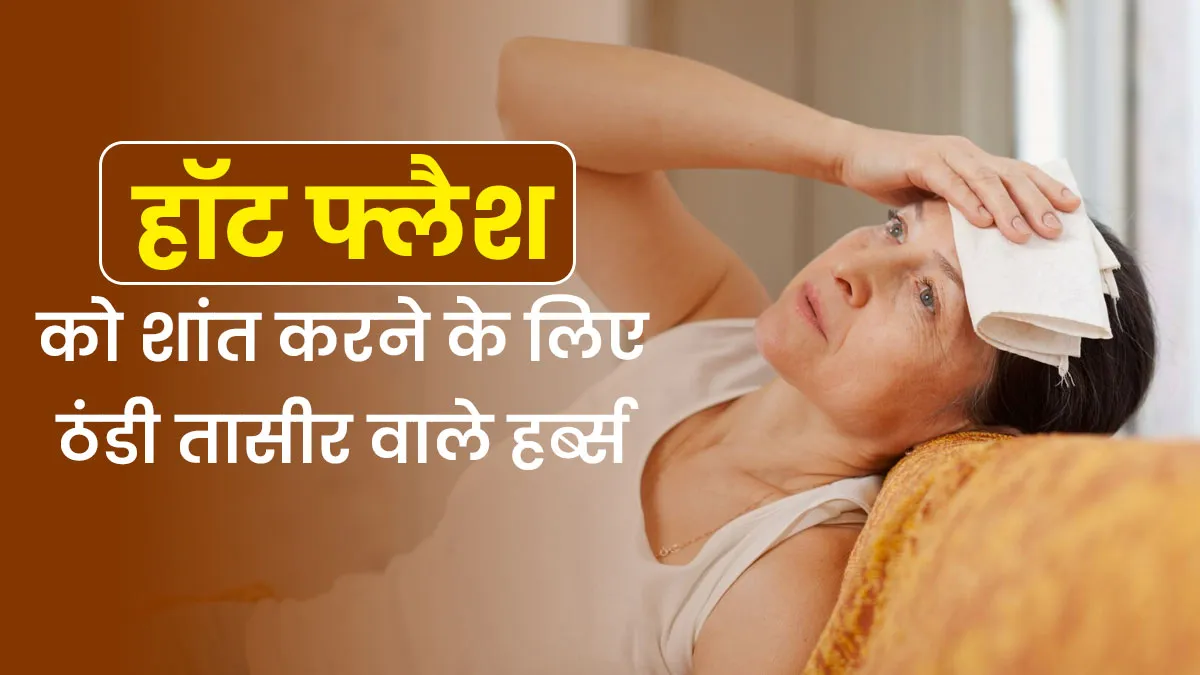40 की उम्र पार करते ही हॉट फ्लैशेज और मूड स्विंग्स की परेशानी? डाइट में शामिल करें ये 4 जड़ी-बूटियां
