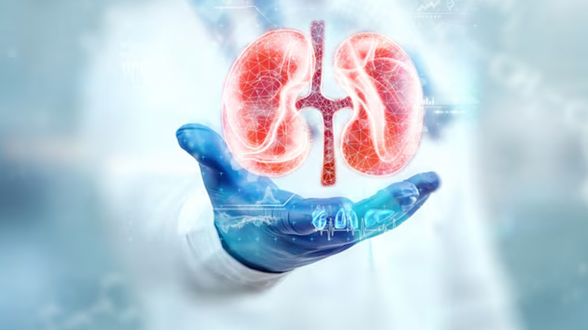how does kidney failure weaken your bones doctor explains connection 1 (4)
