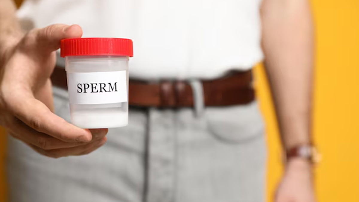 Sperm count or sperm quality know which is more important 1 (13)