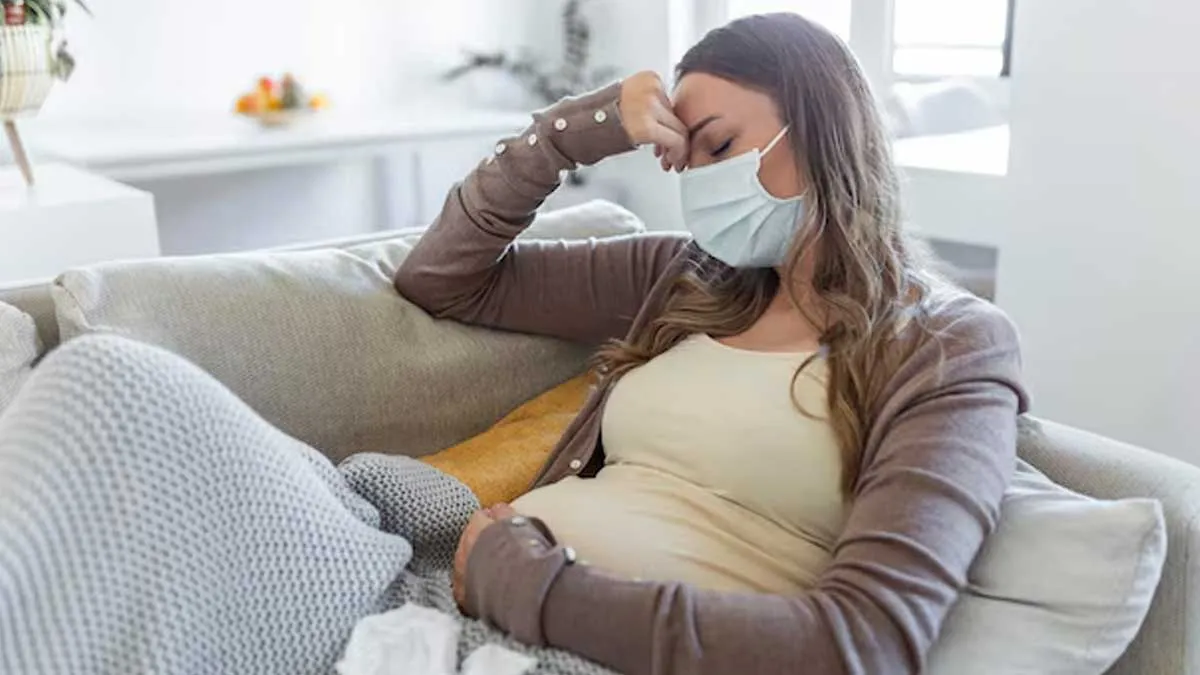 dengue in pregnancy