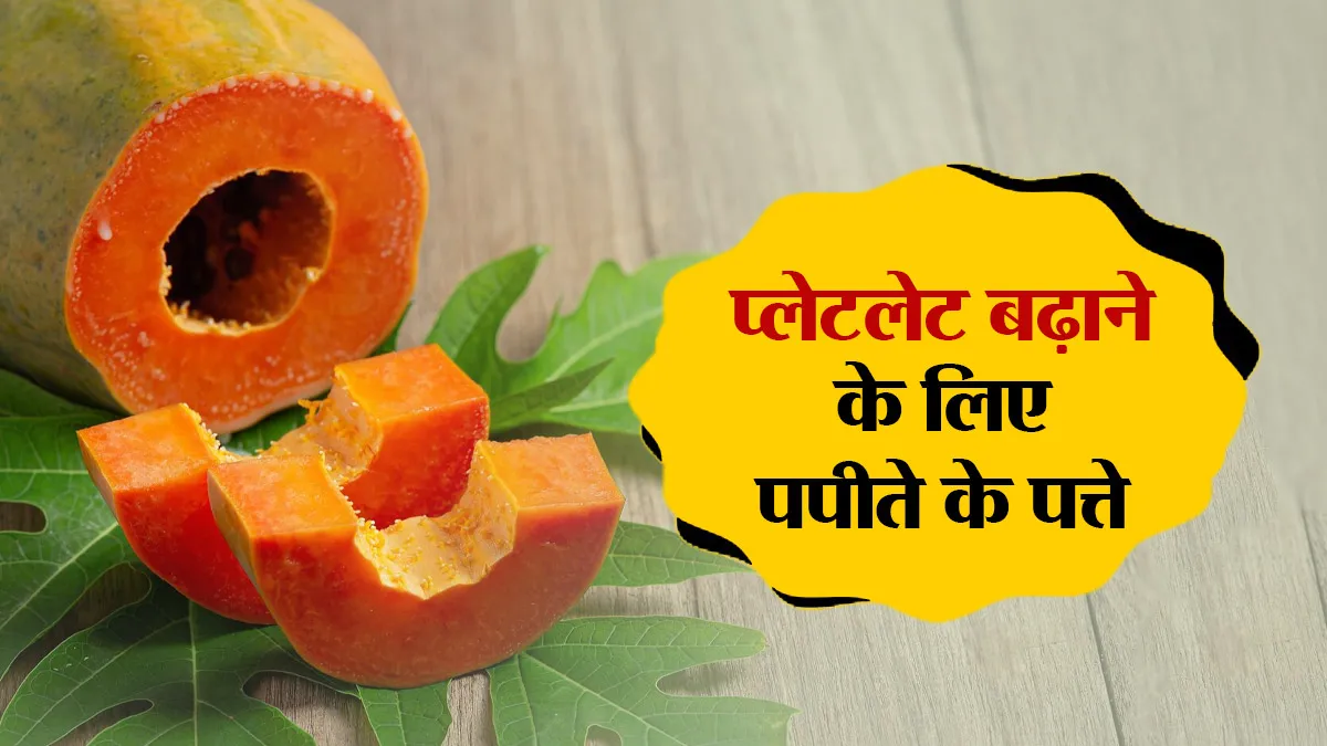 प्लेटलेट बढ़ाने के लिए पपीते के पत्ते का सही उपयोग कैसे करें? जानिए डाइट एक्सपर्ट से