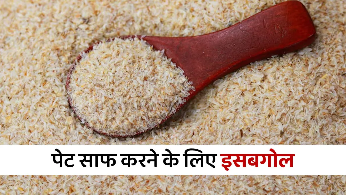 पेट साफ करने के लिए इसबगोल कैसे लेना चाहिए? एक्सपर्ट से जानें 1 दिन में कितना खाएं और कैसे