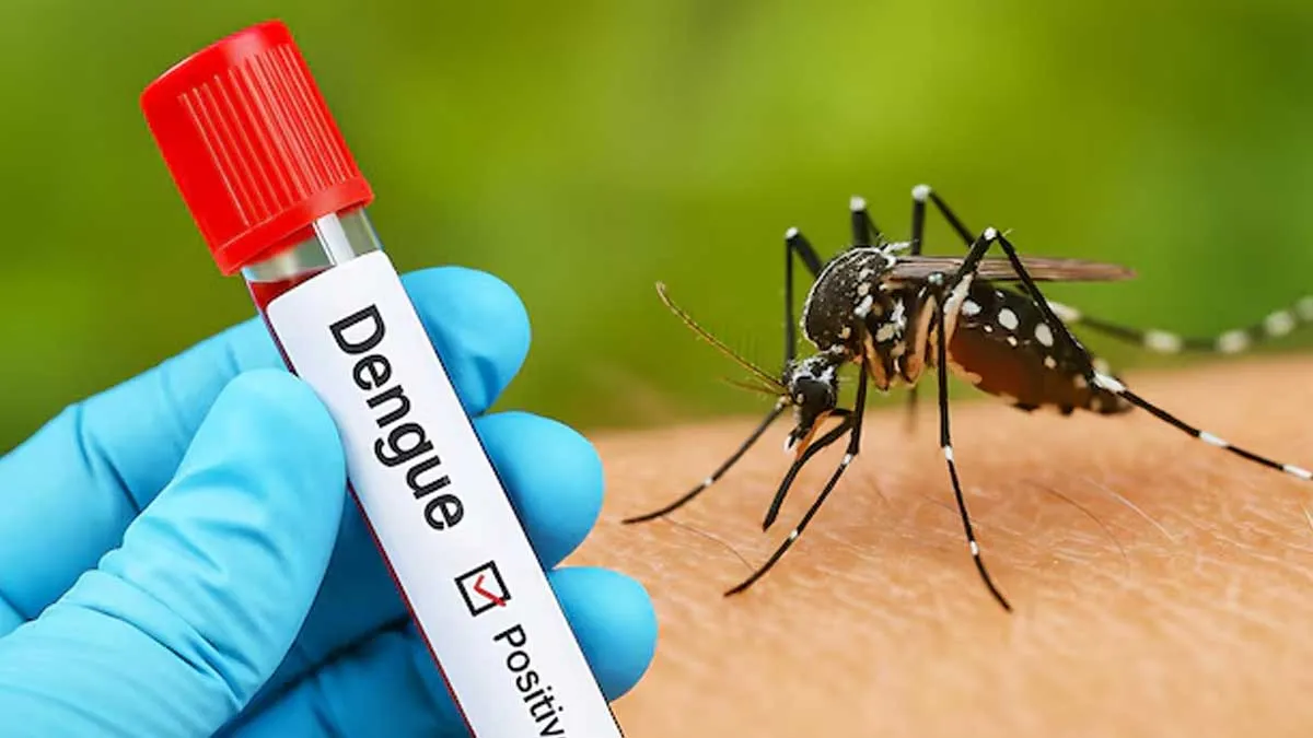 dengue