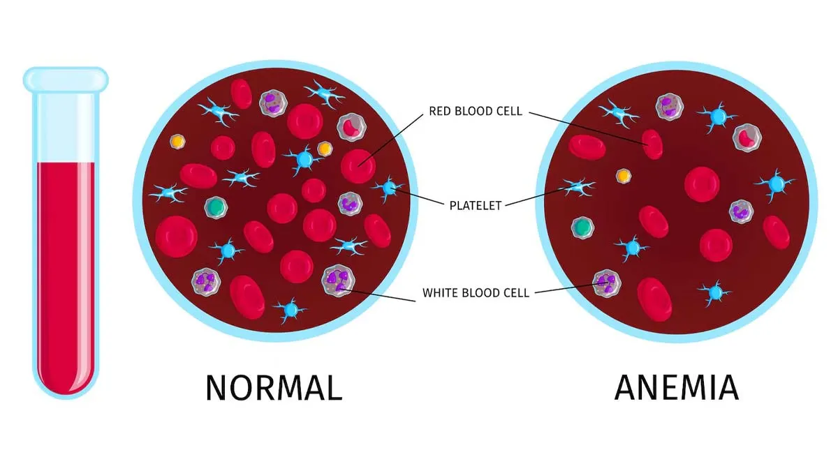 low blood in the body symptoms
