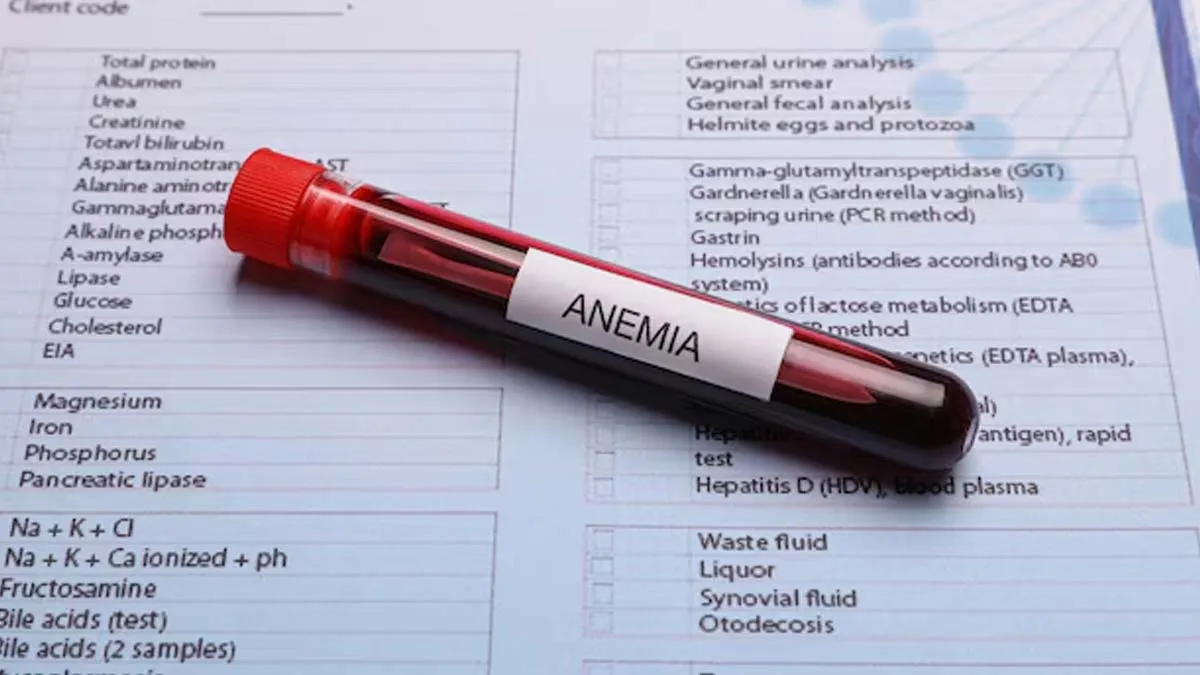 low blood in the body symptoms