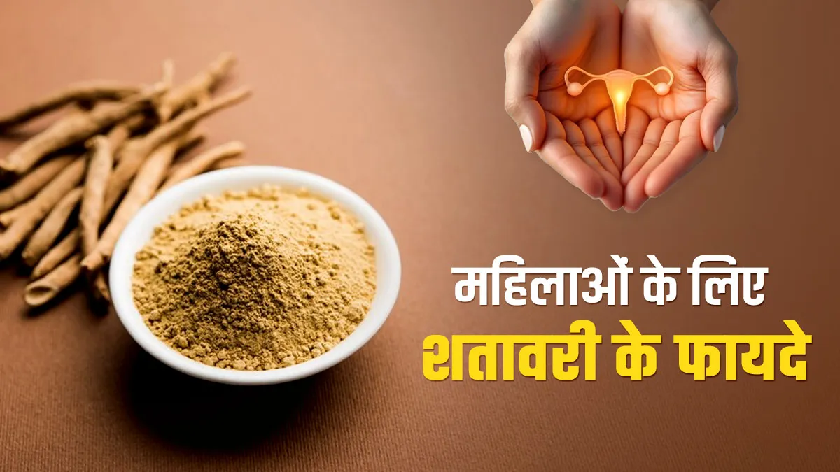 इन 5 कारणों से महिलाएं जरूर करें शतावरी चूर्ण का सेवन, एक्सपर्ट से जानें तरीका