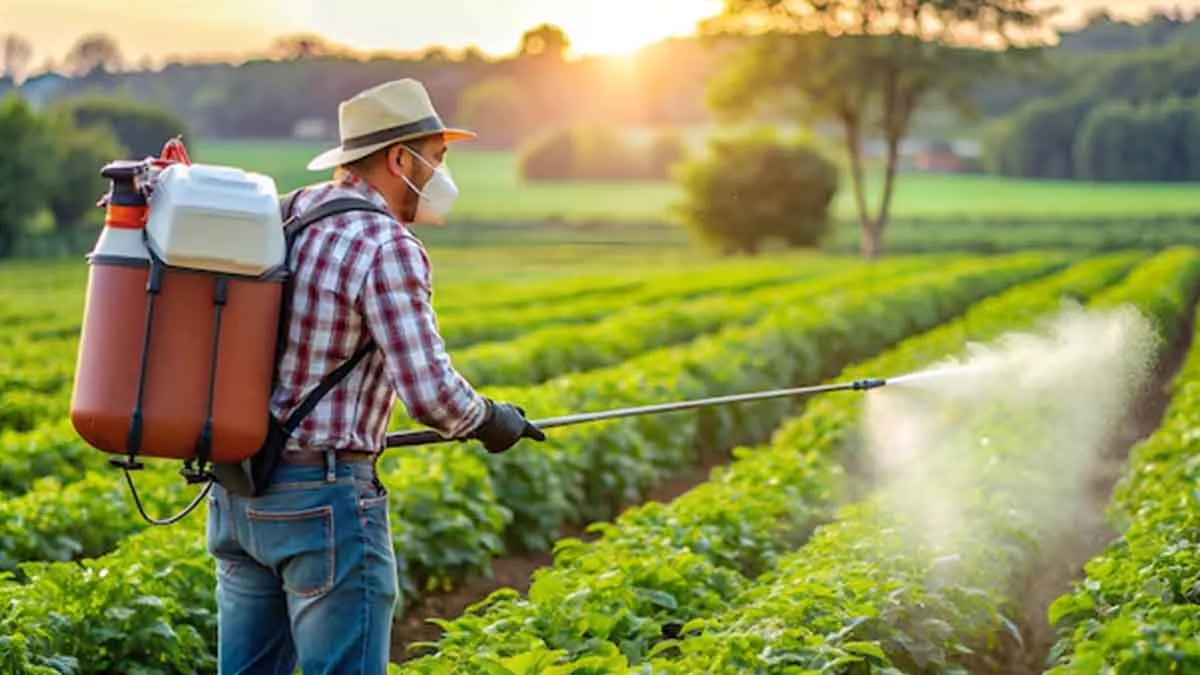 Pesticides