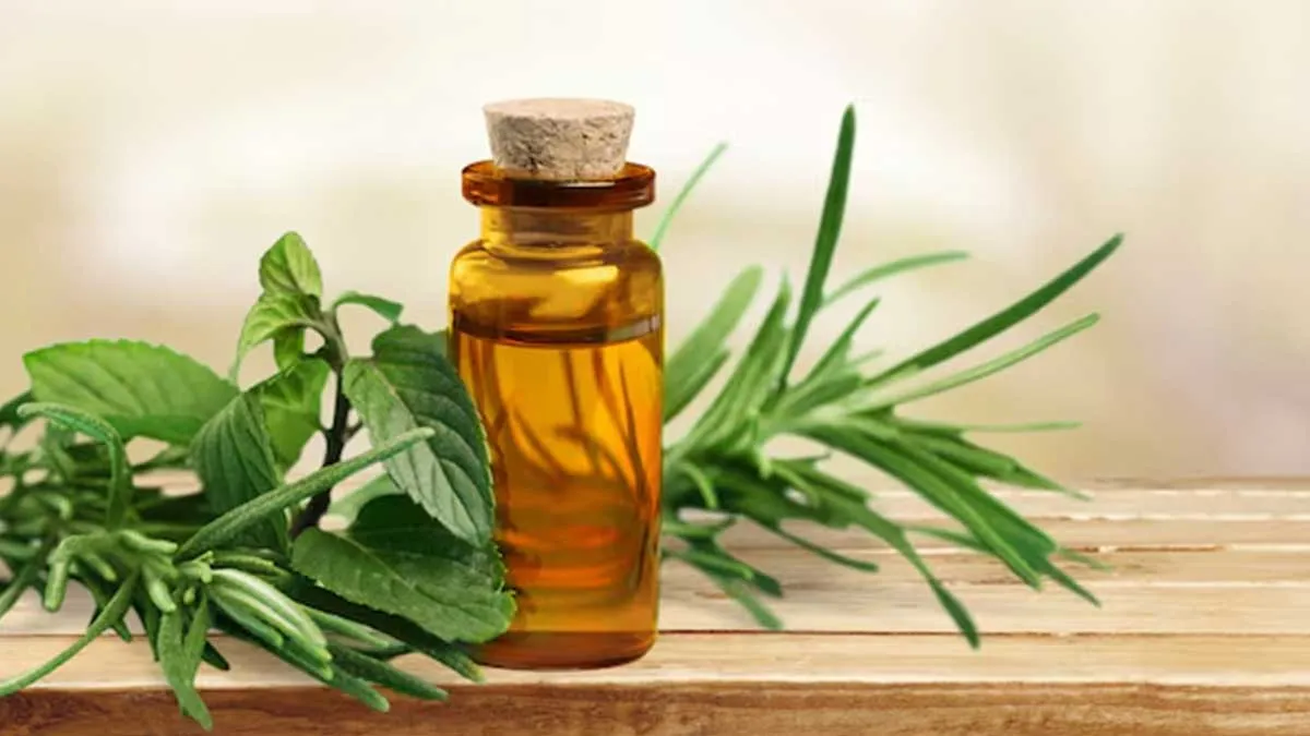 Oil benefits for Back Pain