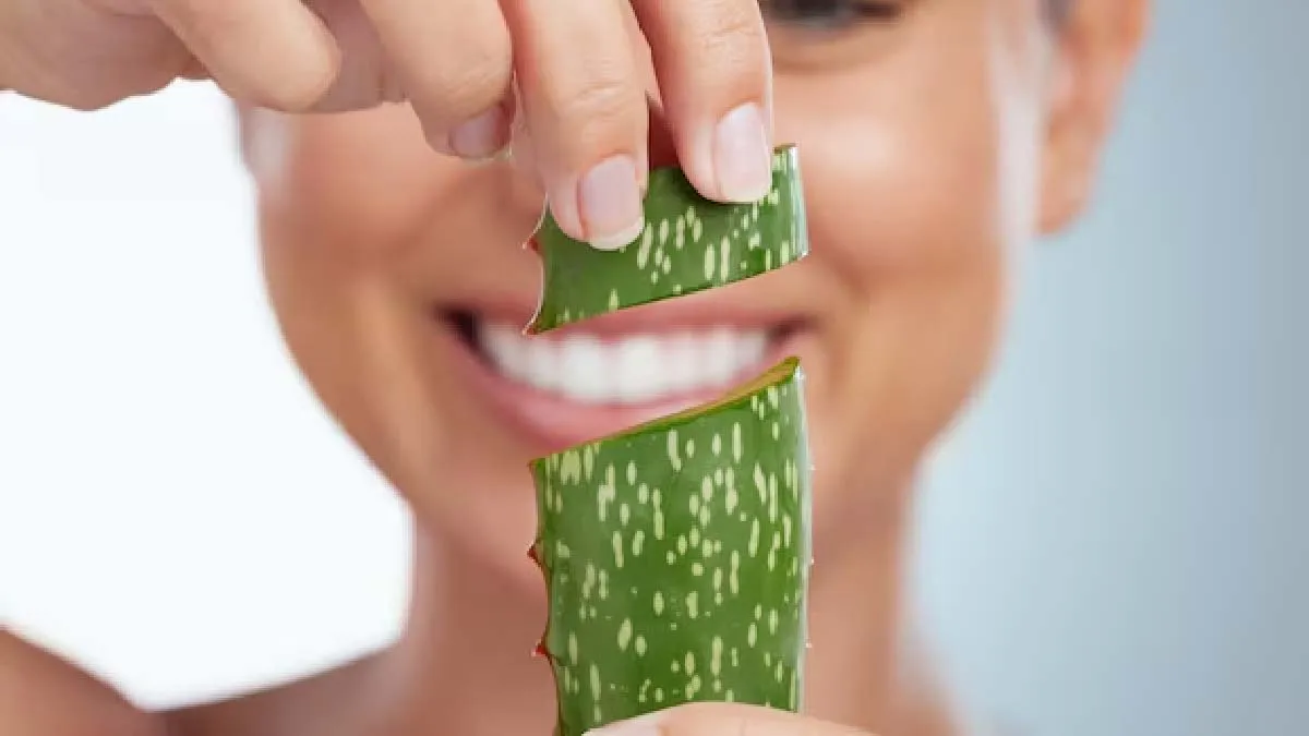 fresh-aloevera-gel-for-skin
