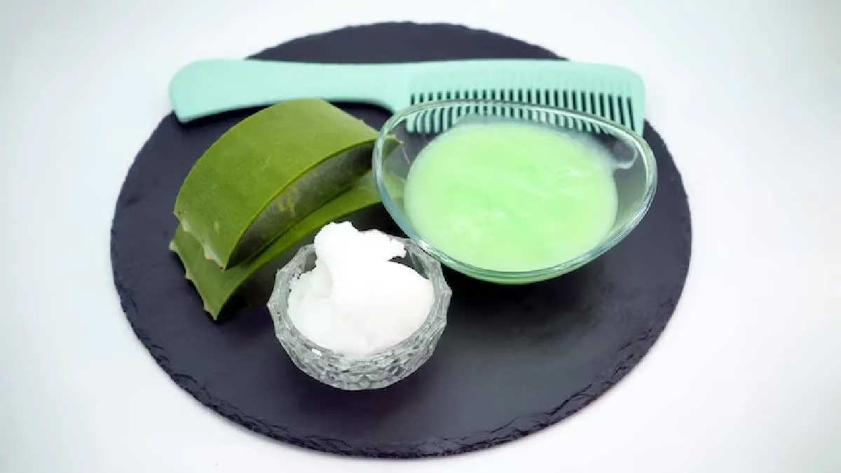 aloe vera gel for scalp itching benefits and precautions 01 (2)