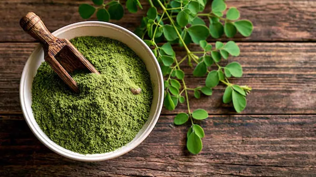 moringa-for-diabetes-inside