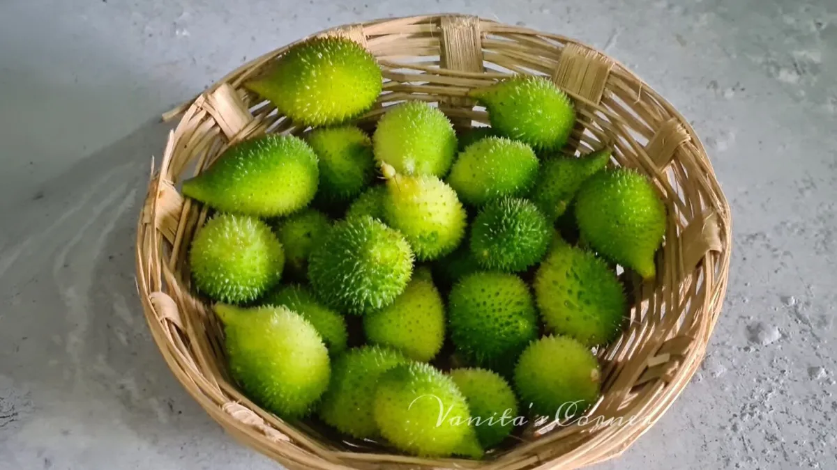 kanola benefits in hindi