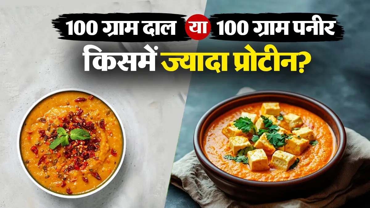 100 ग्राम दाल या 100 ग्राम पनीर: किसमें मिलता है ज्यादा प्रोटीन? न्यूट्रिशनिस्ट से जानें डाइट के लिए सही विकल्प