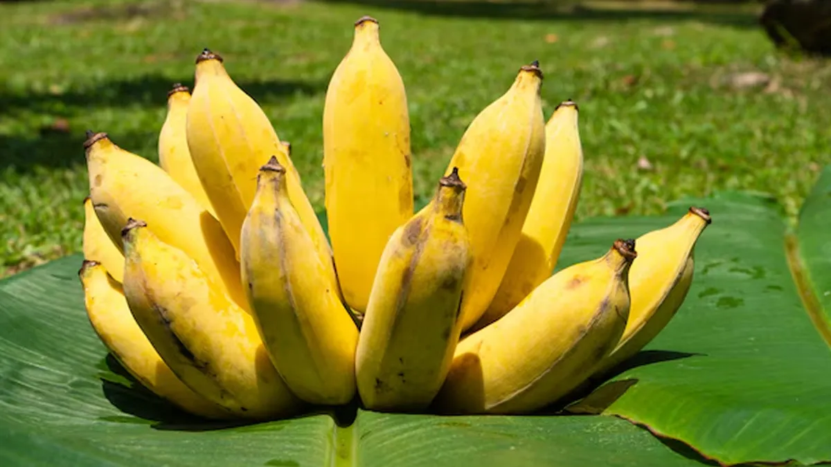 banana-benefits-in-hindi