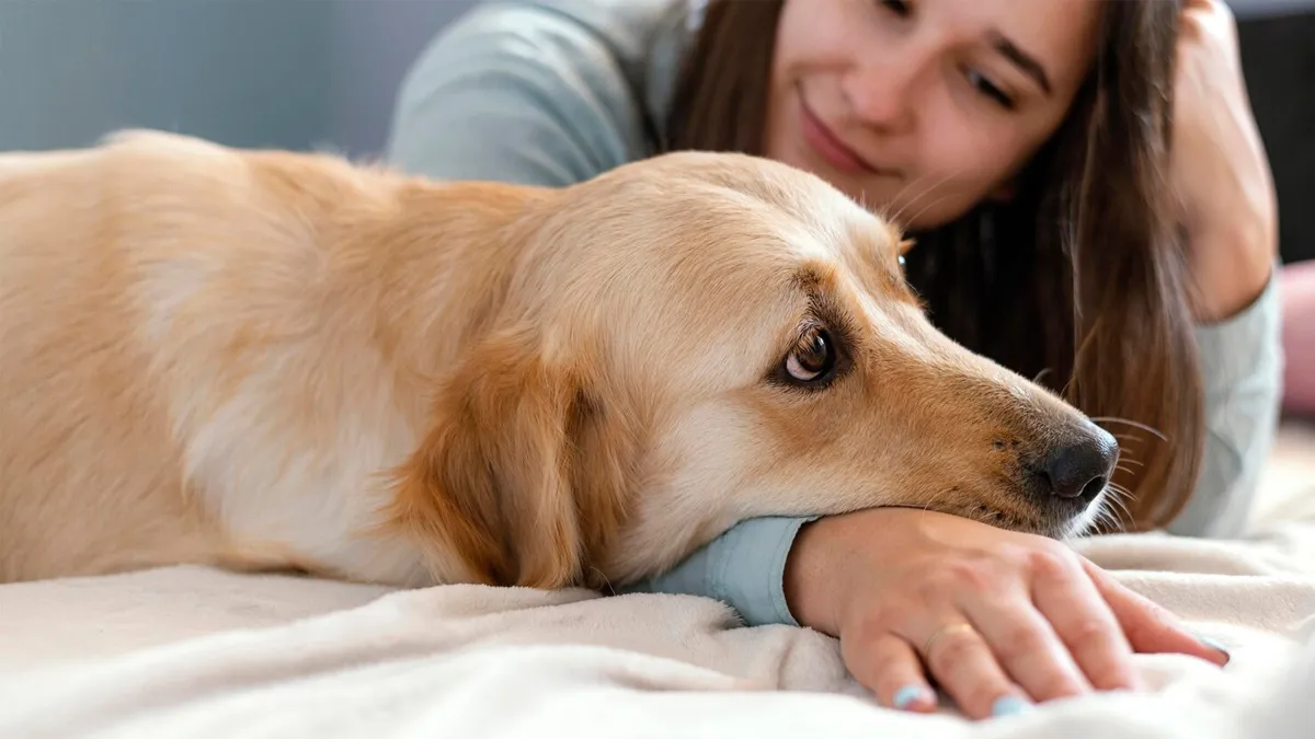 pets-causing-diseases