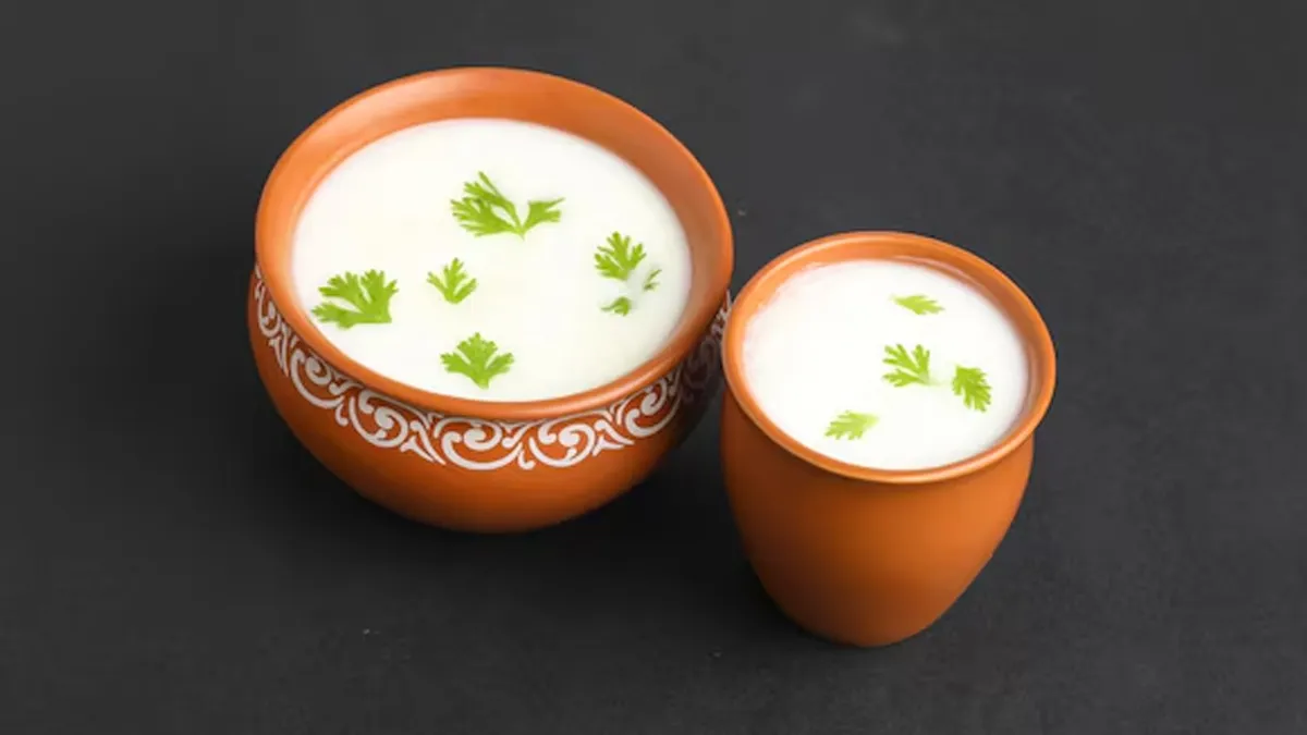 best probiotic foods for gut health