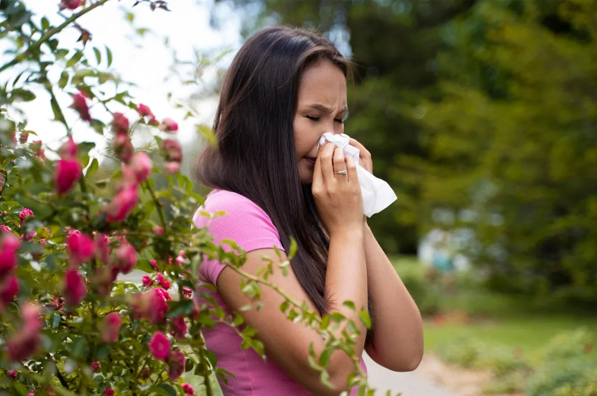 sneezing increase after rain causes