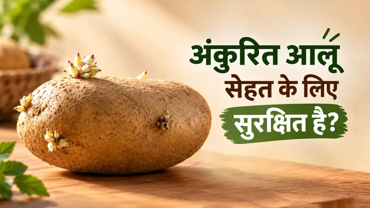 अंकुरित आलू खाना सेहत के लिए सुरक्षित है या नुकसानदायक? एक्सपर्ट से जानें