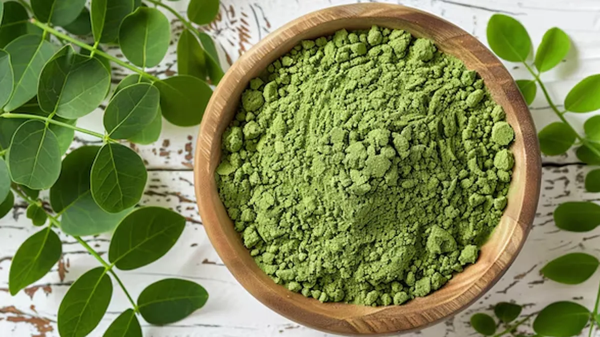 does-moringa-powder-helps-in-weight-loss