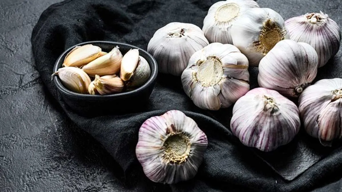 does-garlic-control-high-bp
