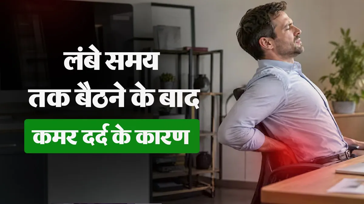 लंबे समय तक बैठने के बाद कमर दर्द क्यों बढ़ जाता है? डॉक्टर से जानें कारण और बचाव के उपाय