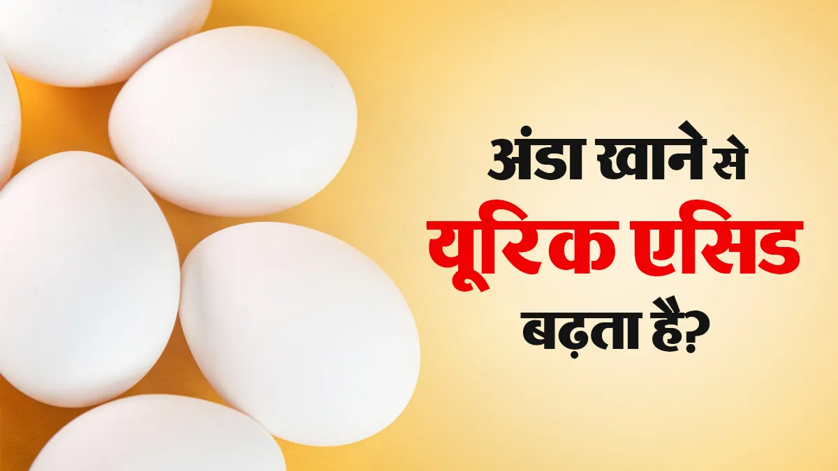 क्या अंडा खाने से यूरिक एसिड बढ़ता है? एक्सपर्ट से जानें