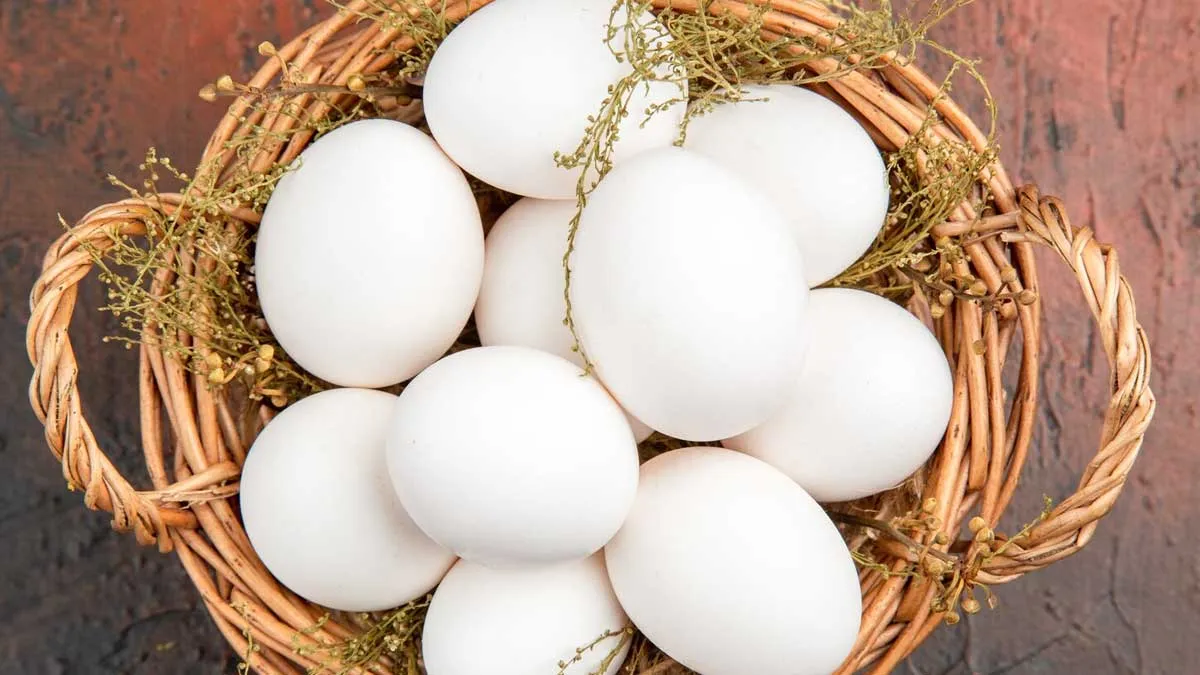 does-eggs-increase-uric-acid