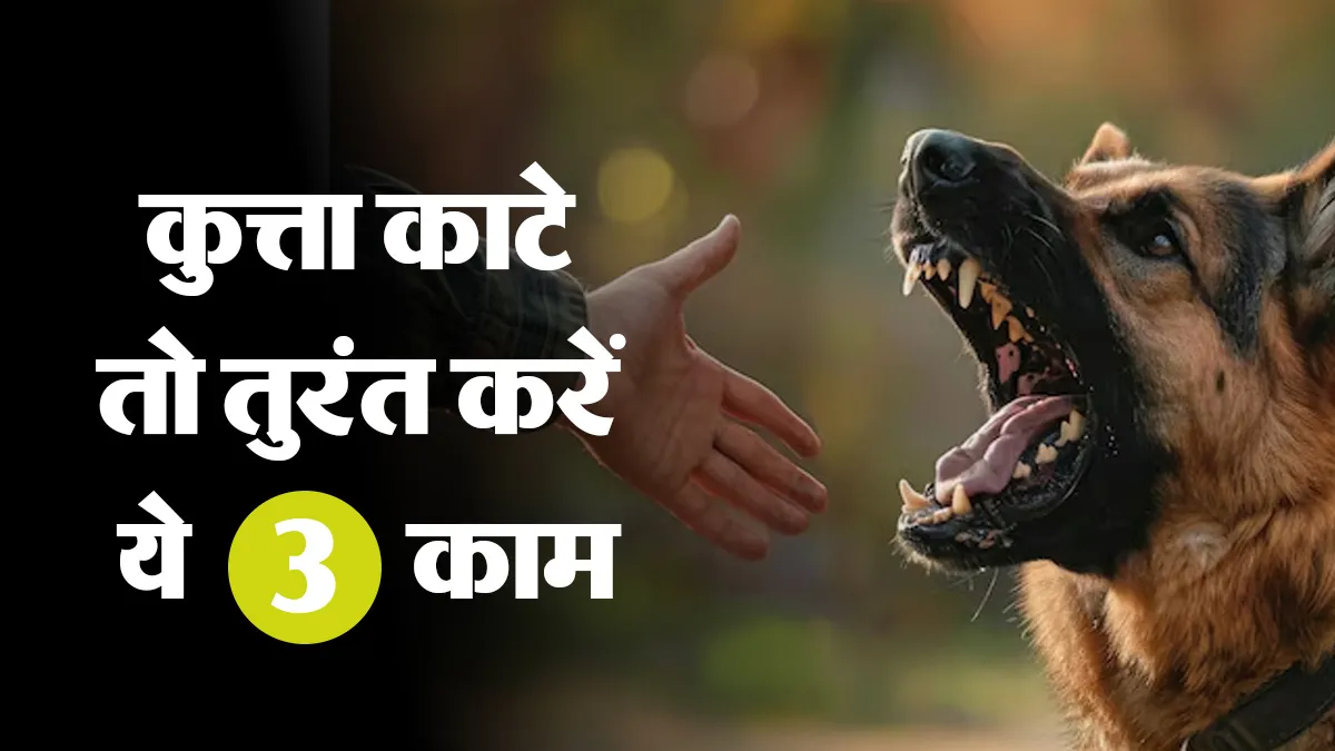 कुत्ता काट ले तो तुरंत क्या करें? जानें डॉक्टर की जरूरी सलाह