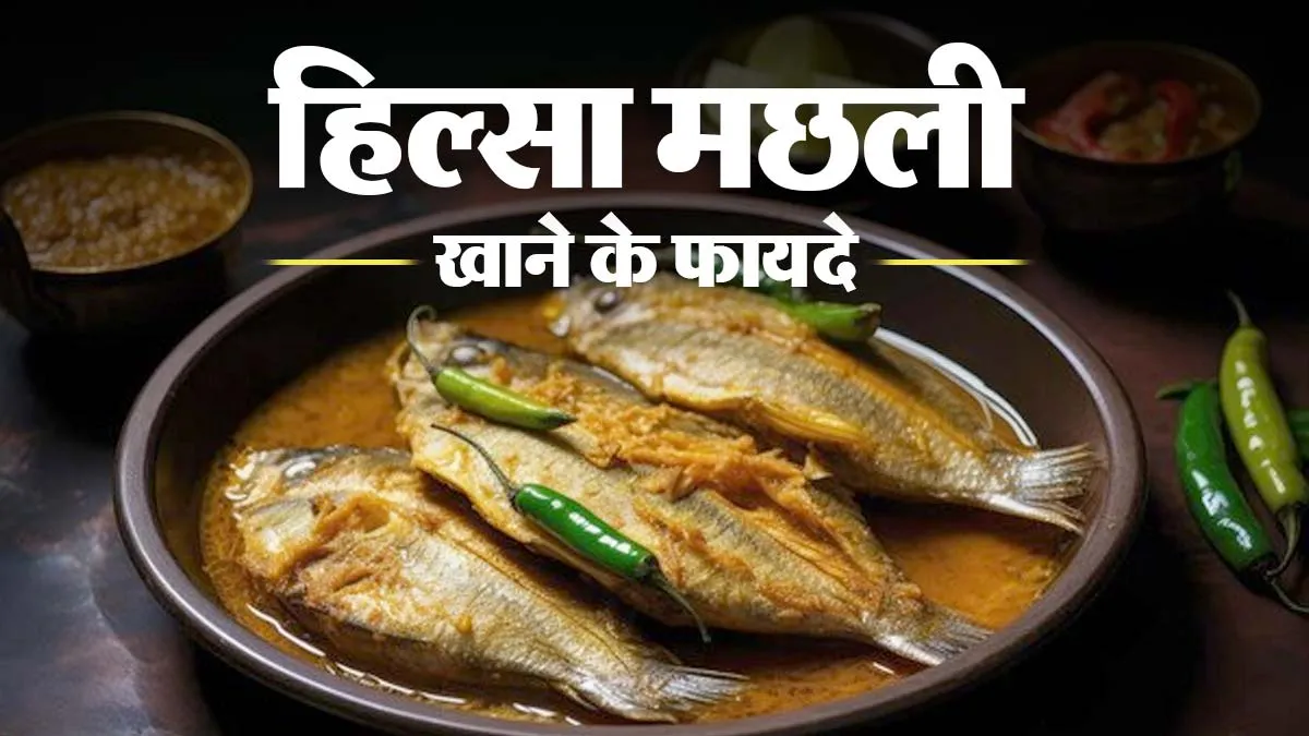 हिल्सा मछली खाने के फायदे क्या हैं, जिसके व्यापार पर बांग्लादेश ने लगाया बैन?
