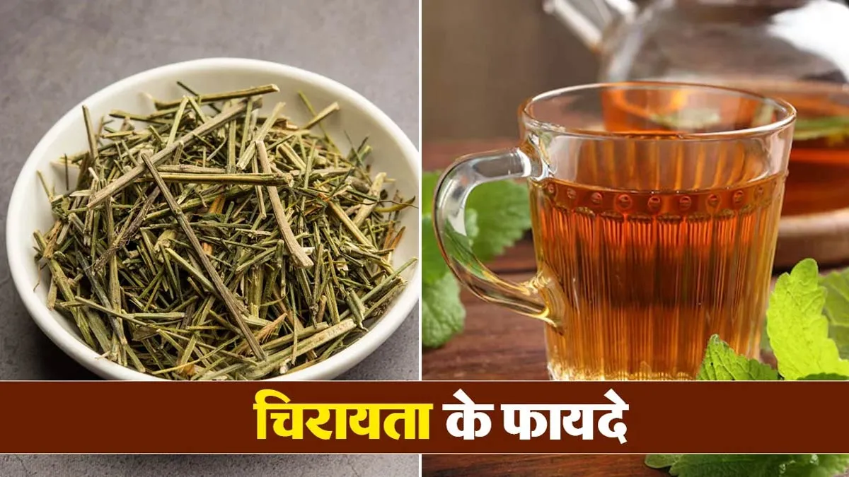 रोज सुबह खाली पेट पिएं चिरायता का पानी, मिलेंगे ये 5 जादुई फायदे