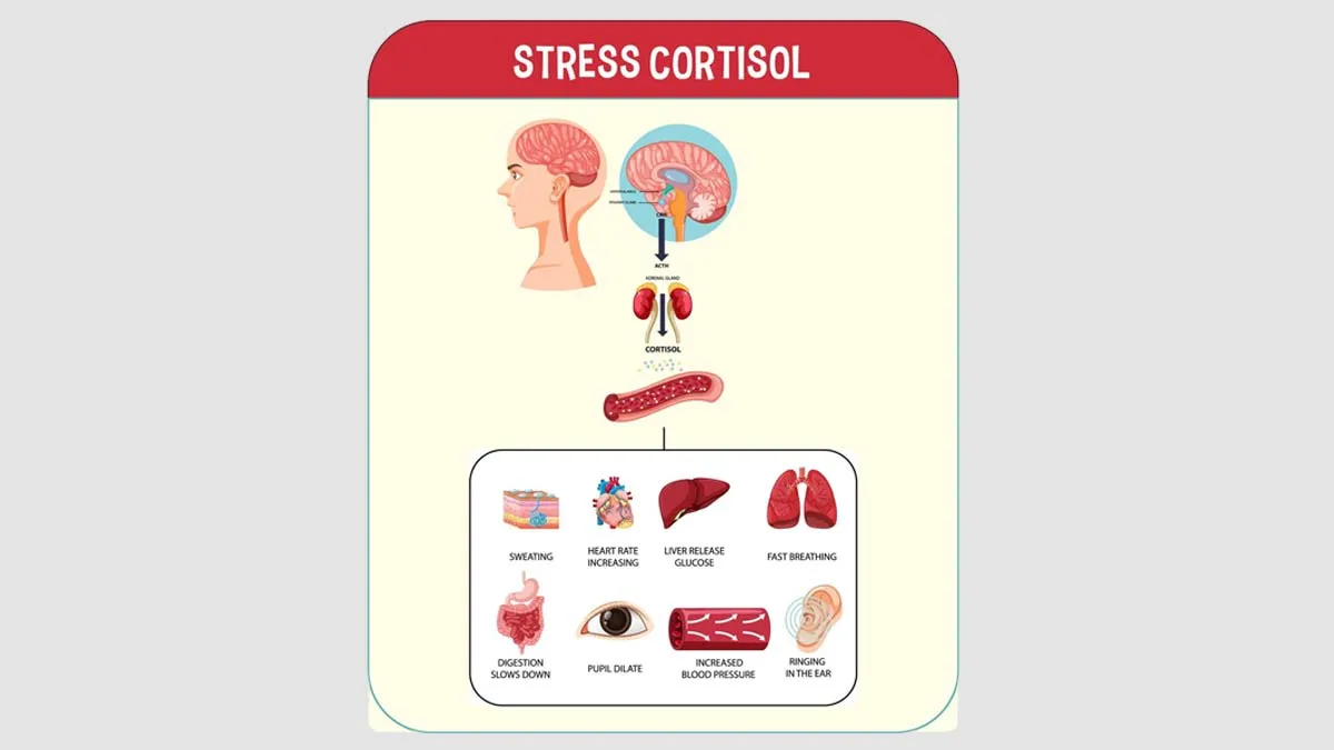 high-cortisol-in-hindi