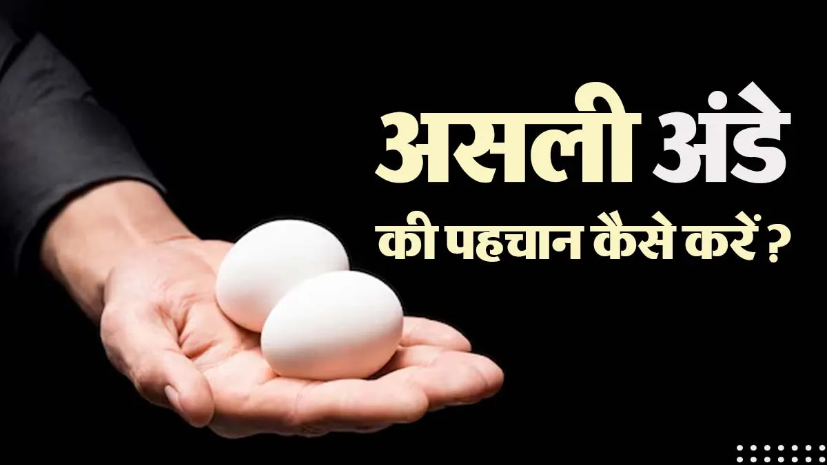 रोज जो अंडा आप खाते हैं, वो असली है या नकली? FSSAI ने बताया घर पर चेक करने का आसान तरीका